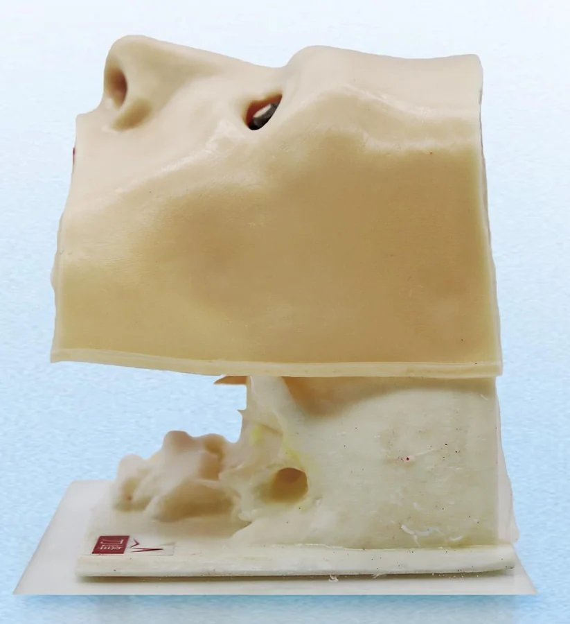 Mô hình đào tạo nội soi qua mũi và qua ổ mắt HC-EN-02